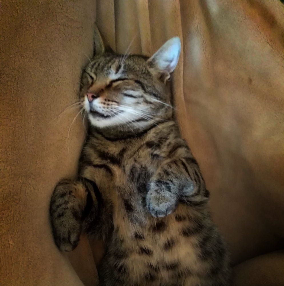 Photograph by Anna Veľasová