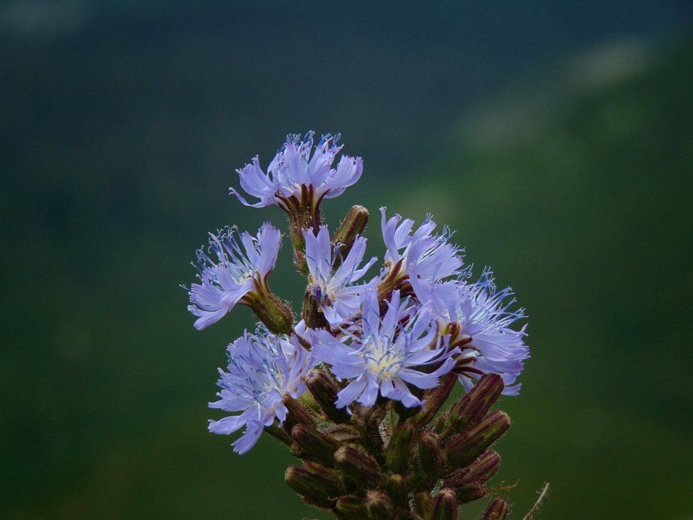 Photograph by Anna Veľasová