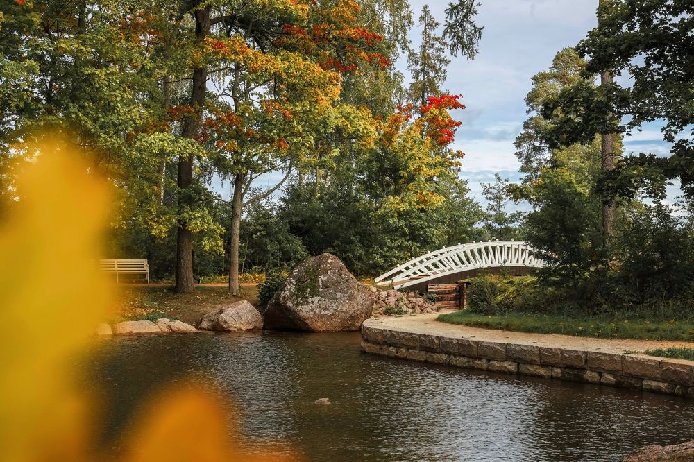 Photograph by Светлана Захаренкова