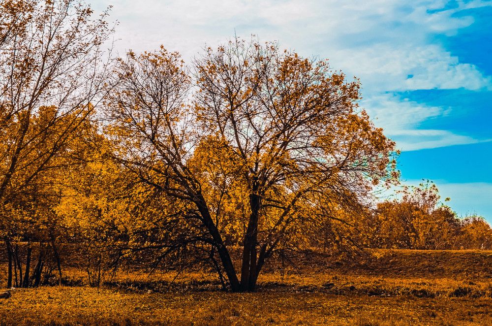 Photograph by Дмитрий Педченко