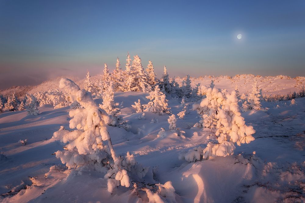 Пробились первые лучи...