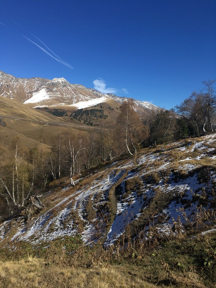 Фотография автора Ксения