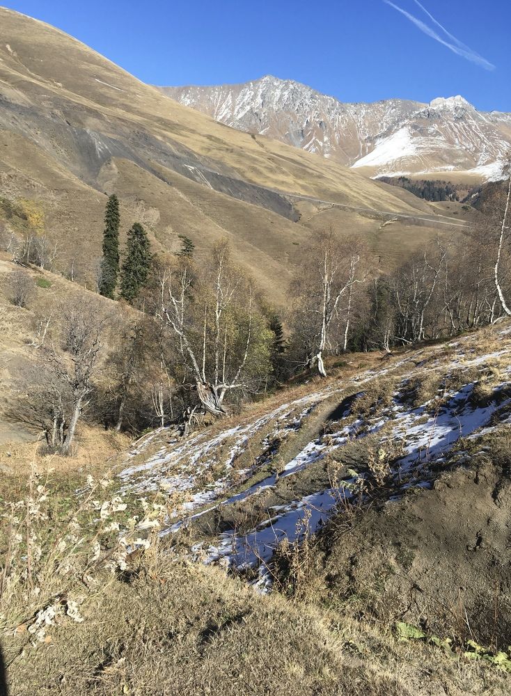 Фотография автора Ксения