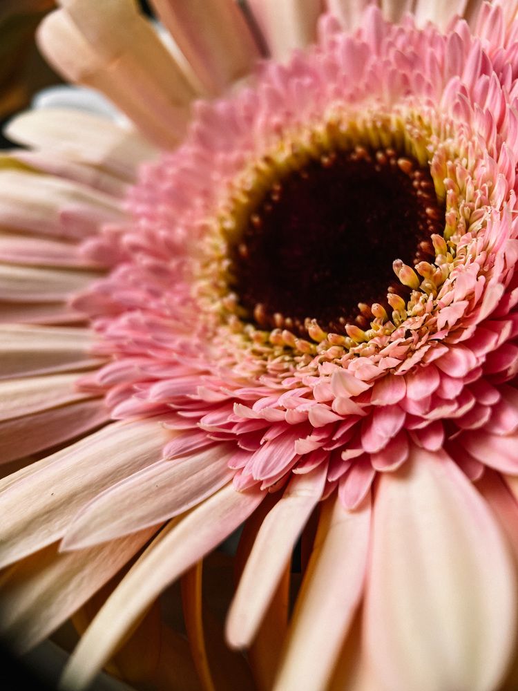 Photograph by Кристина Луканова