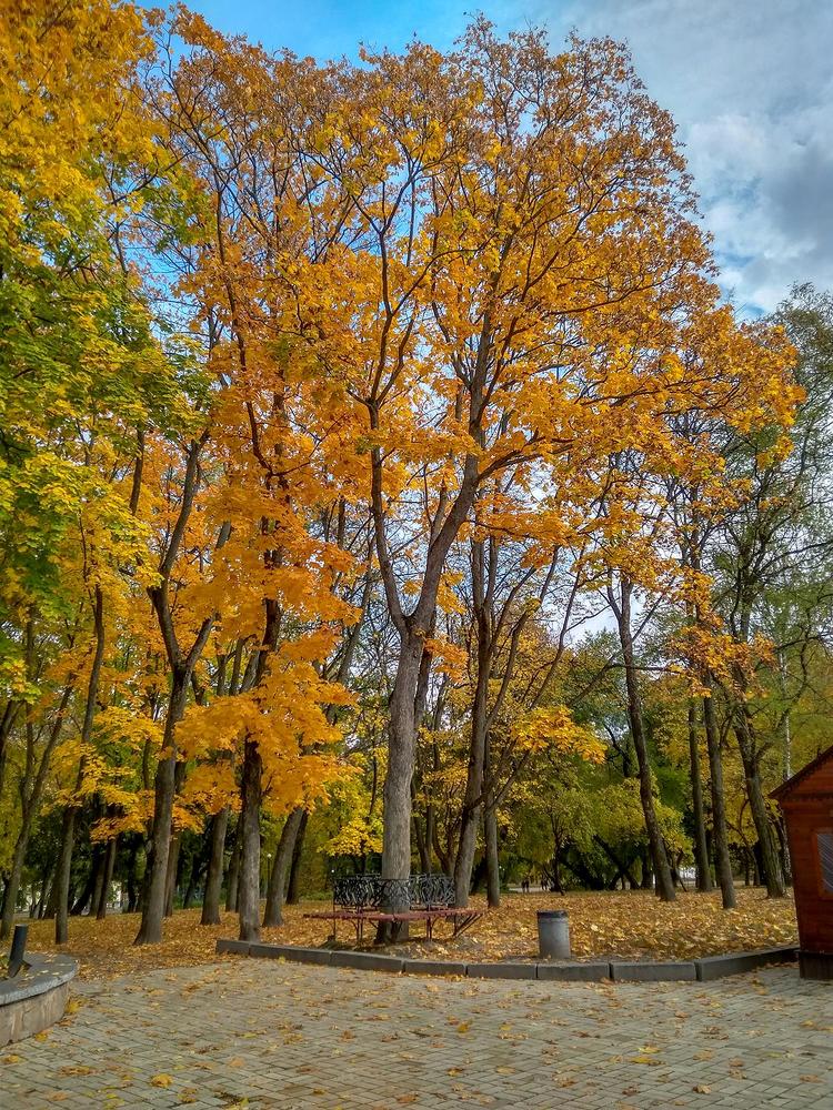 Photograph by Fantomas