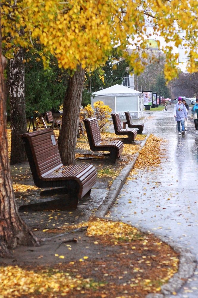 Photograph by Жанна Цветкова