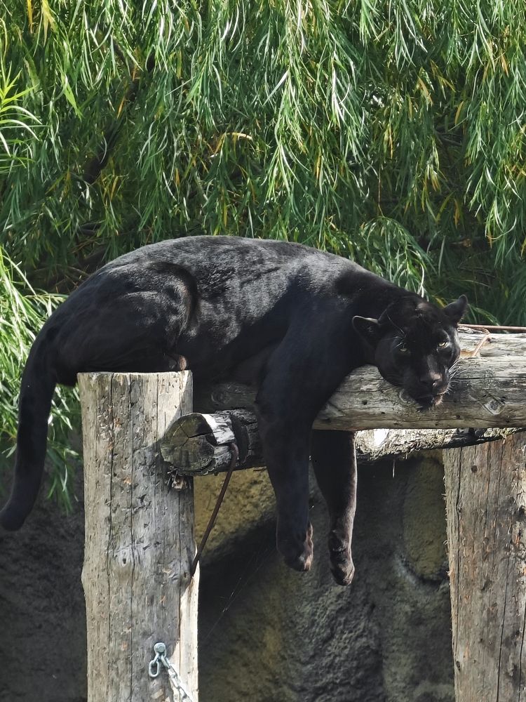 Photograph by Олег Сальников