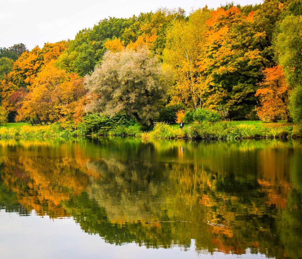 Фотография автора Elena Ku