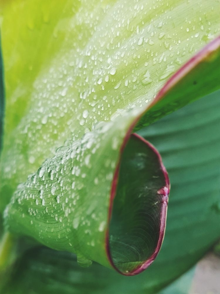 Photograph by Романова Екатерина