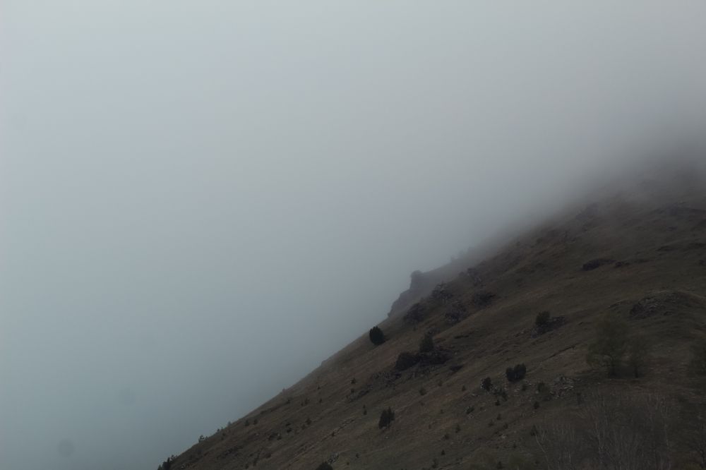 Photograph by Дмитрий Синицын