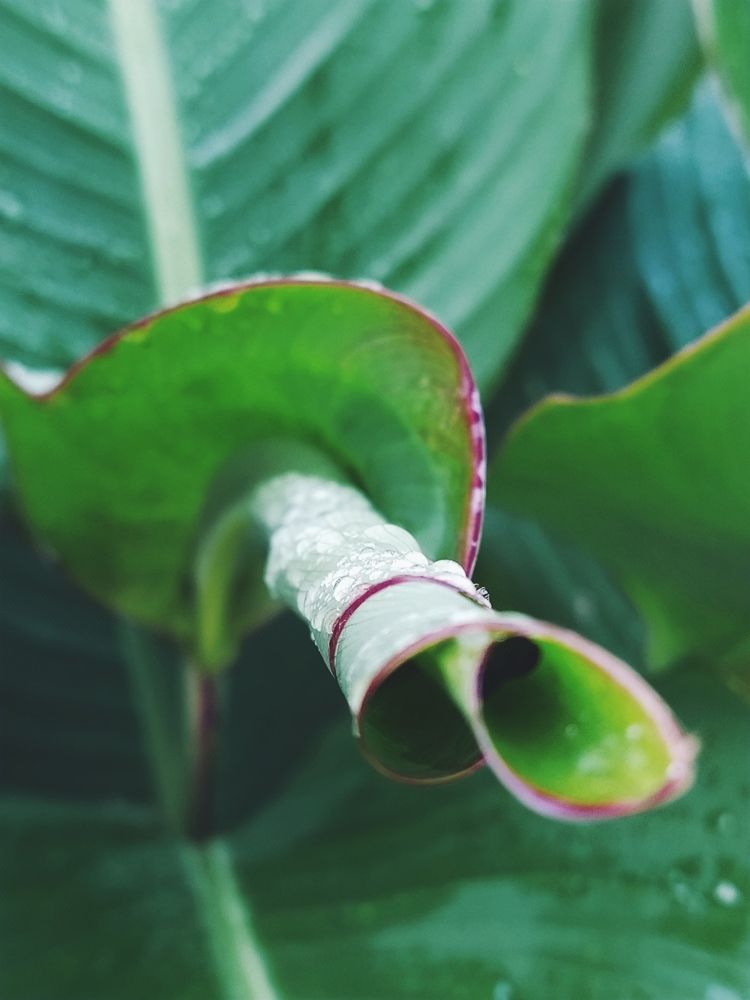 Photograph by Романова Екатерина