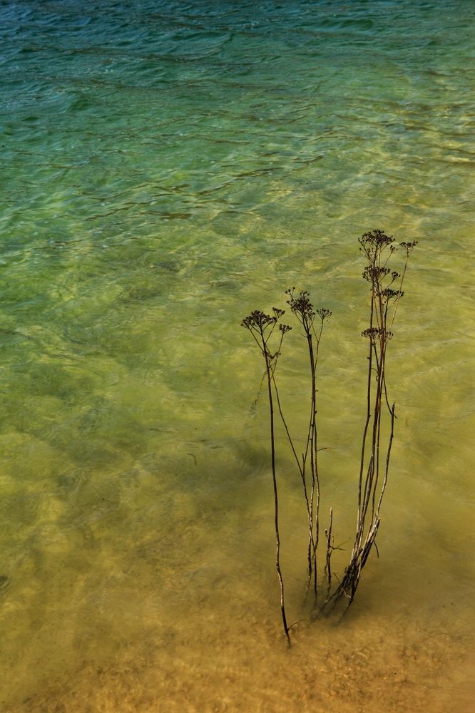Photograph by Владимир Микрокосмос