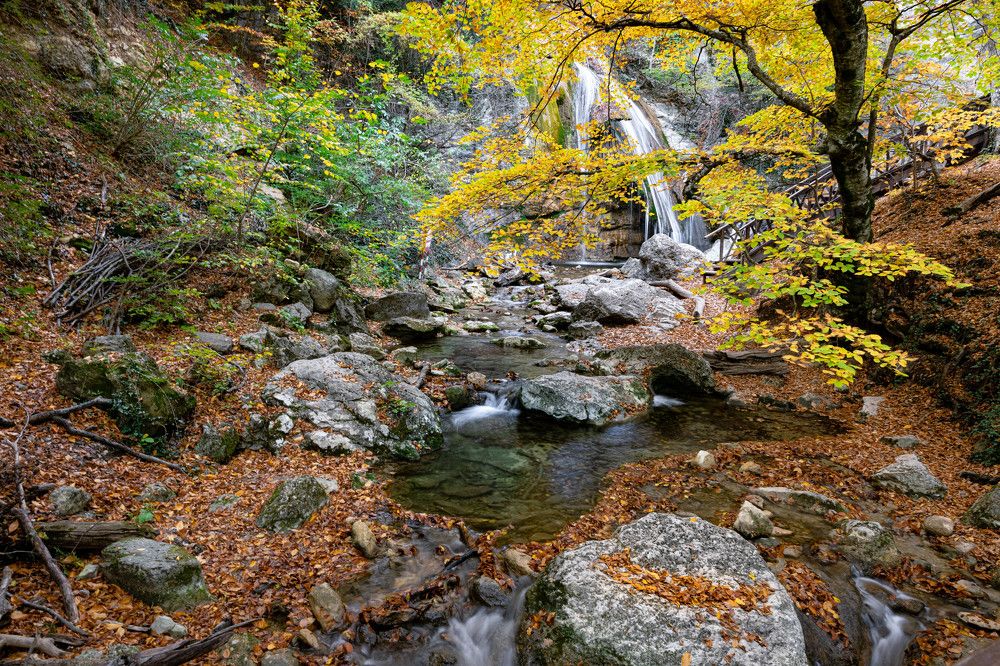 Фотография автора Татьяна Бурлакина
