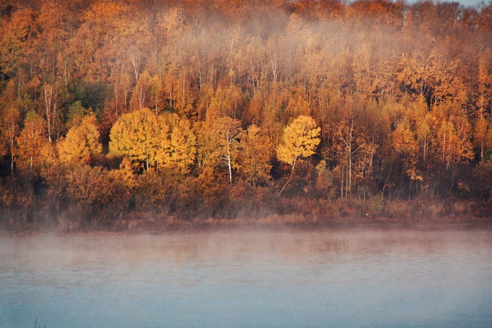 Photograph by Елена Ласун