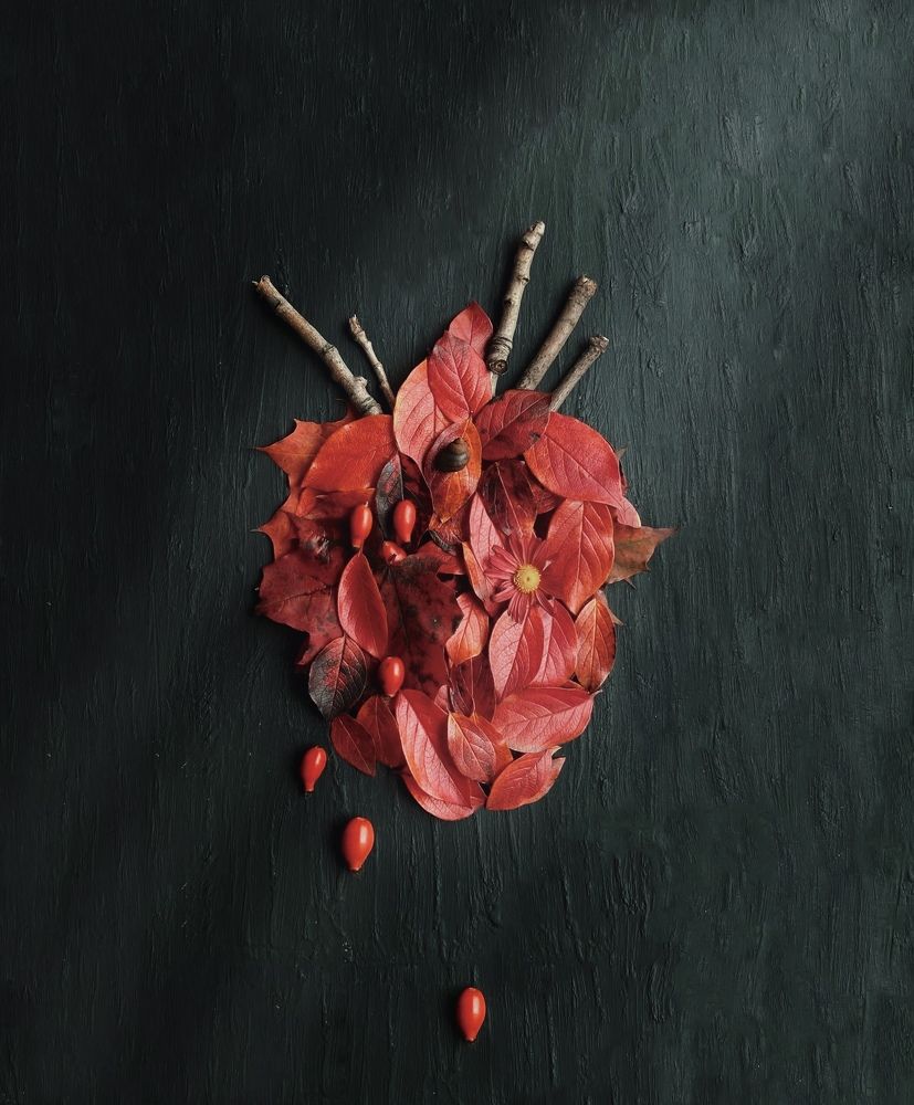 Фотография автора Galina Sa