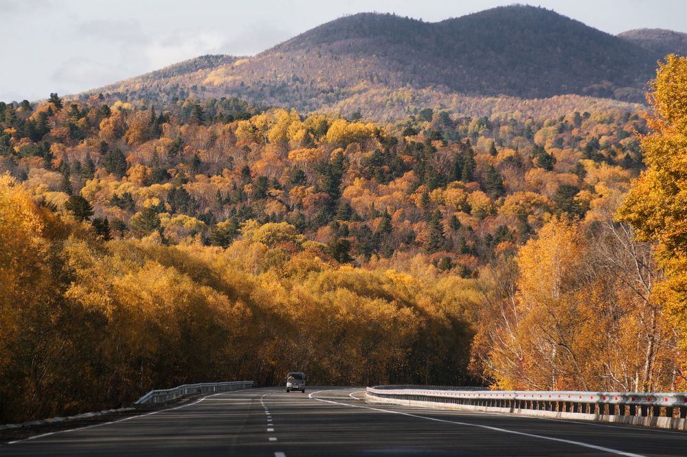 Photograph by Елена Ласун