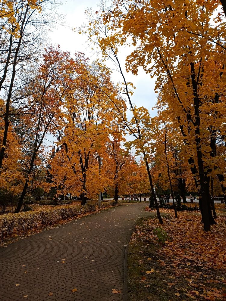 Photo #9725505