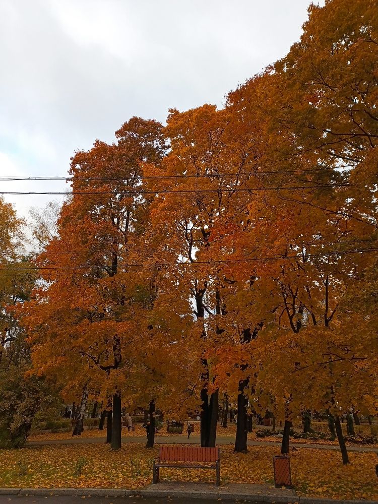 Photo #9725507