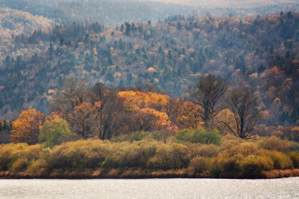 Photograph by Елена Ласун