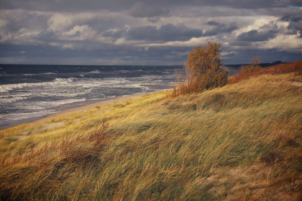 Фотография автора Елена Кириллова