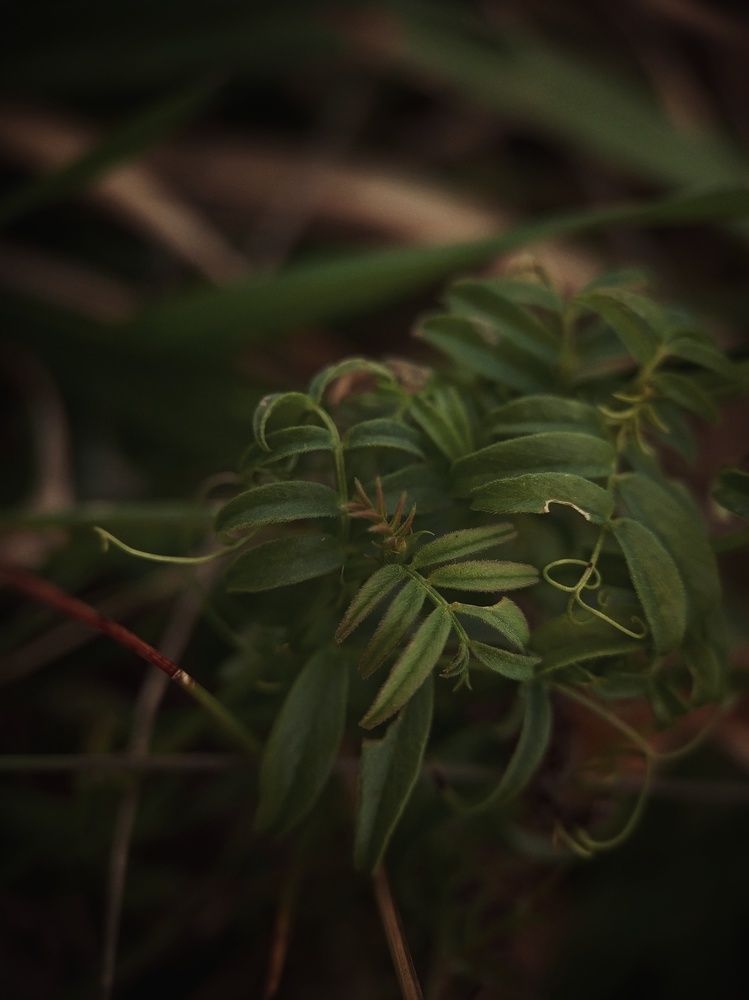 Photograph by Ольга Юминова