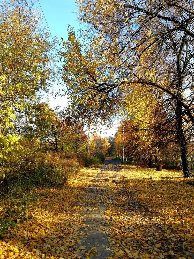 Photograph by Galina Novichkova