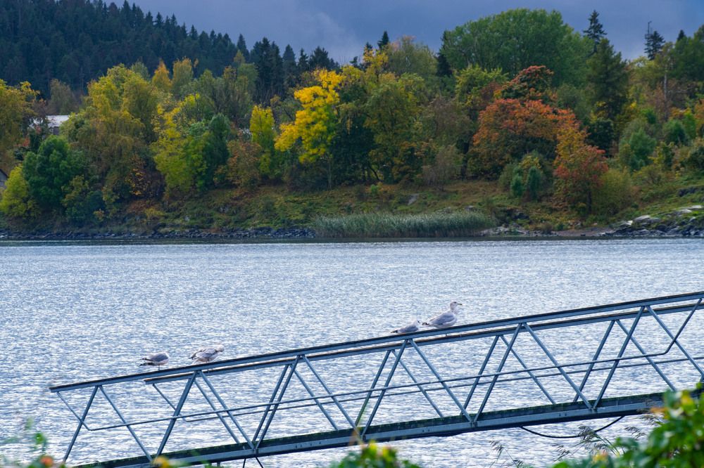 Photograph by Наталья Зверева