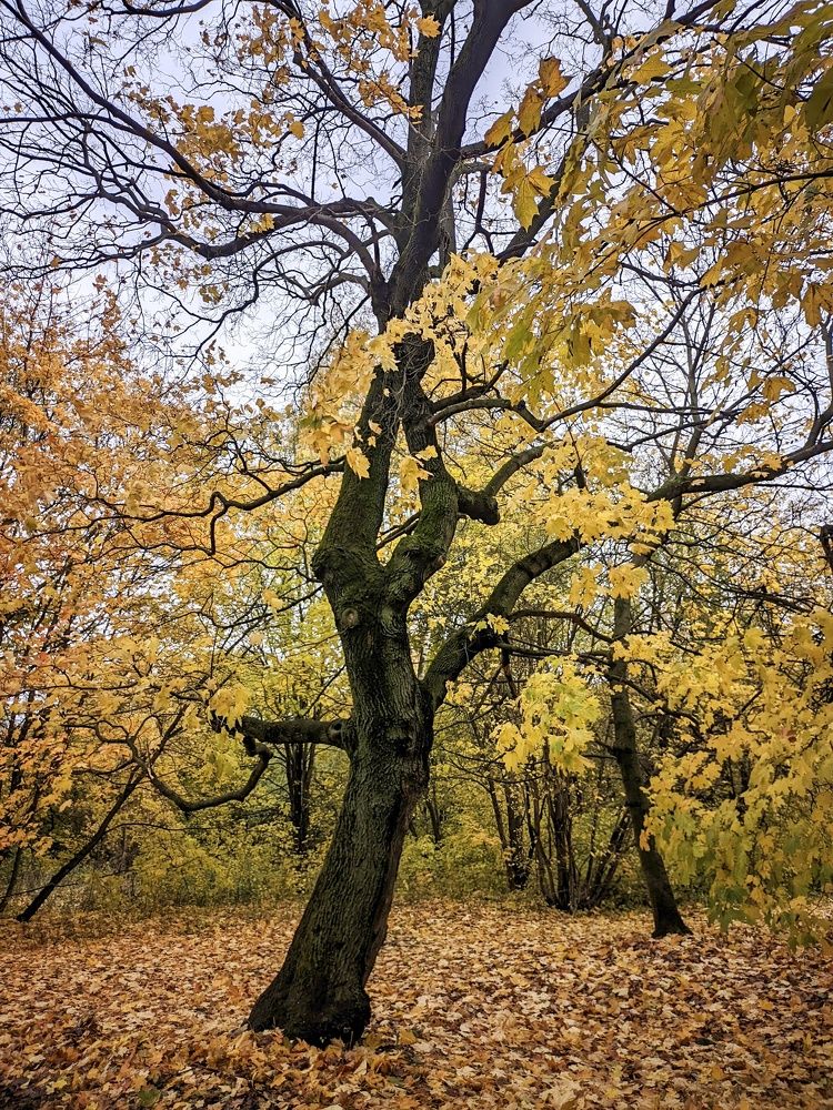 Photograph by Sergey Kurkov-Tarkovsky