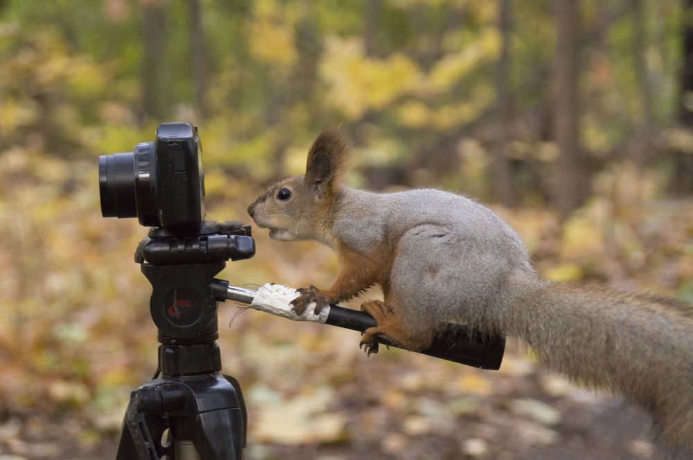 Photograph by Аlessandro