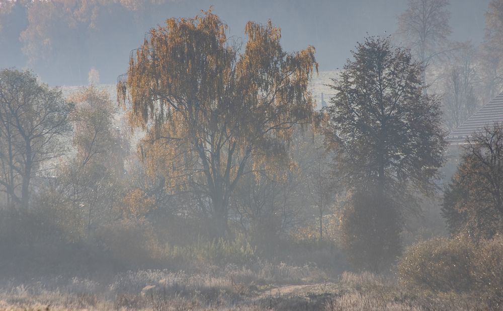 Photograph by Татьяна Романова