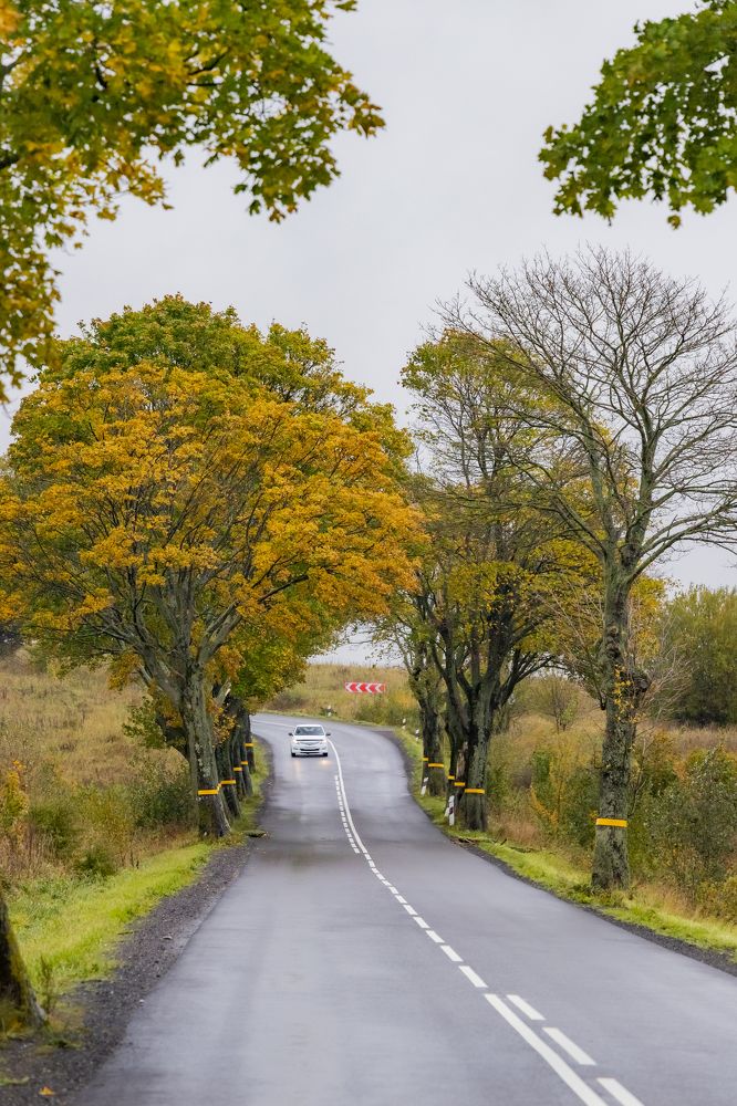 Photograph by Константин Чижов