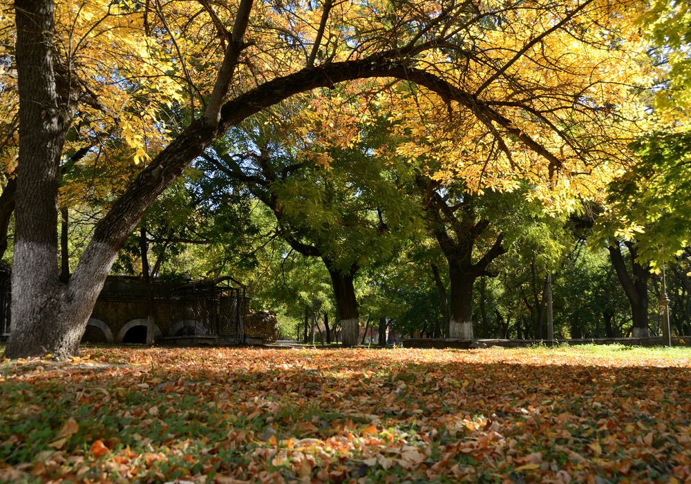 Фотография автора Aleksei Batiukov