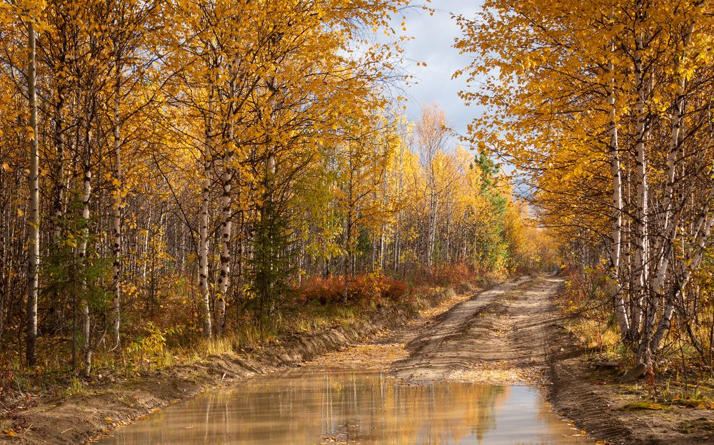 Дорога в соень