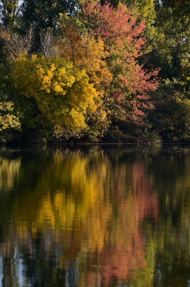Фотография автора Aleksei Batiukov