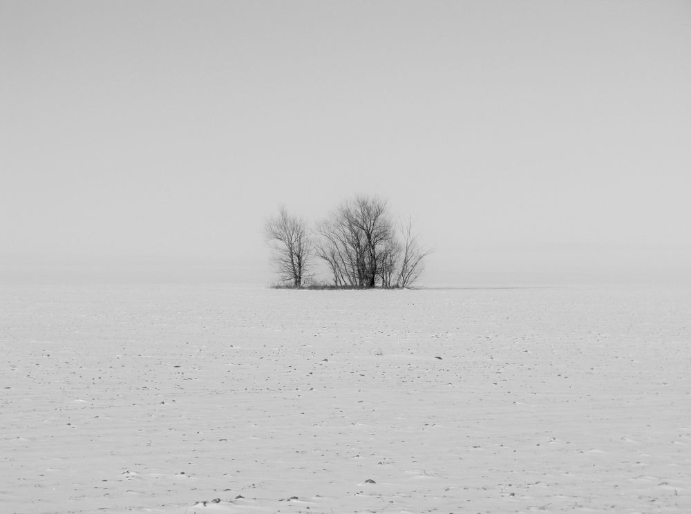 Photograph by Виктор Карпухин