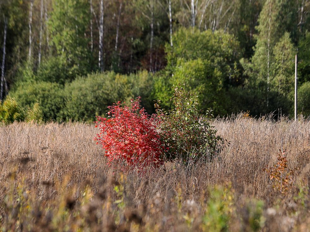 Photograph by Sergey Uskov