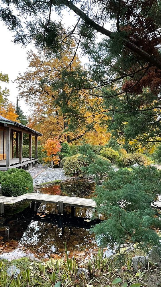 Photograph by Svetlana