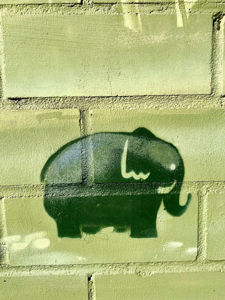 Photograph by Анастасия Мангольд