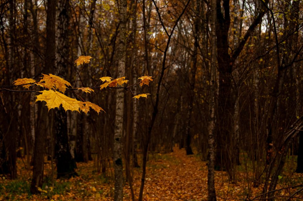 Photograph by Никита