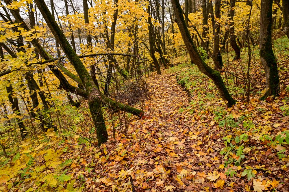 Photograph by Константин