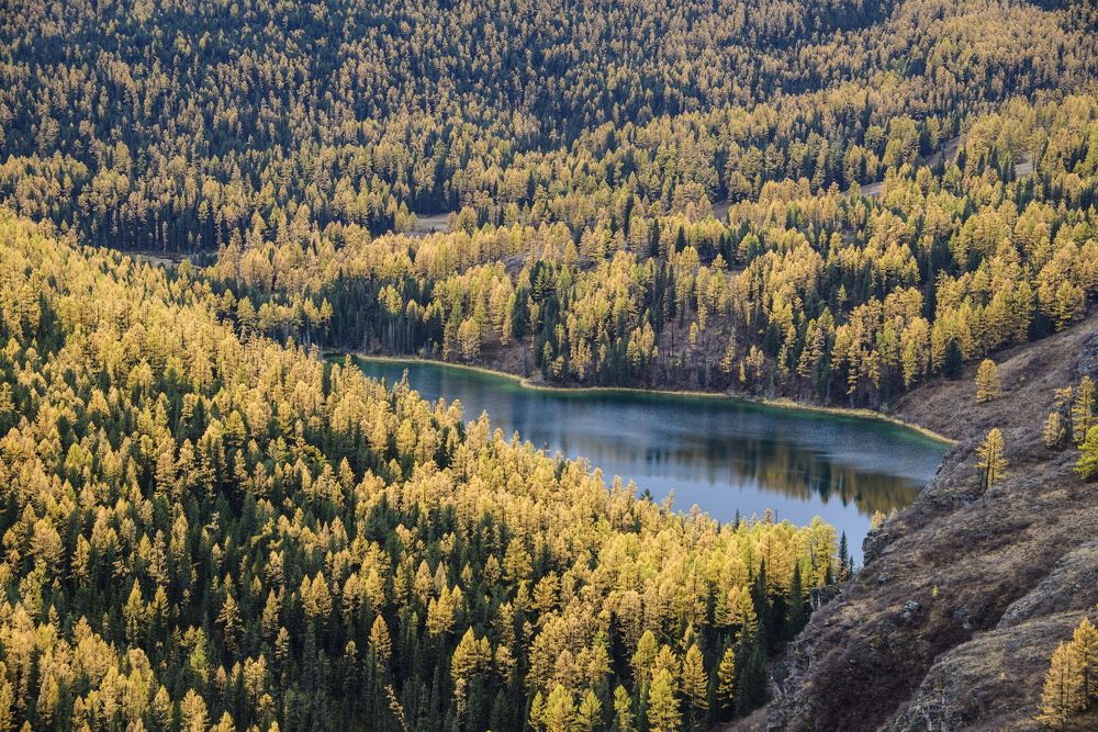 Photograph by Валентин Казанцев