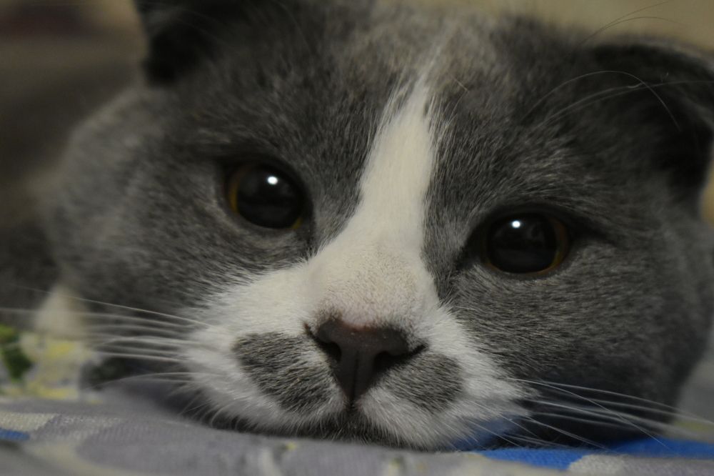 Photograph by Ольга