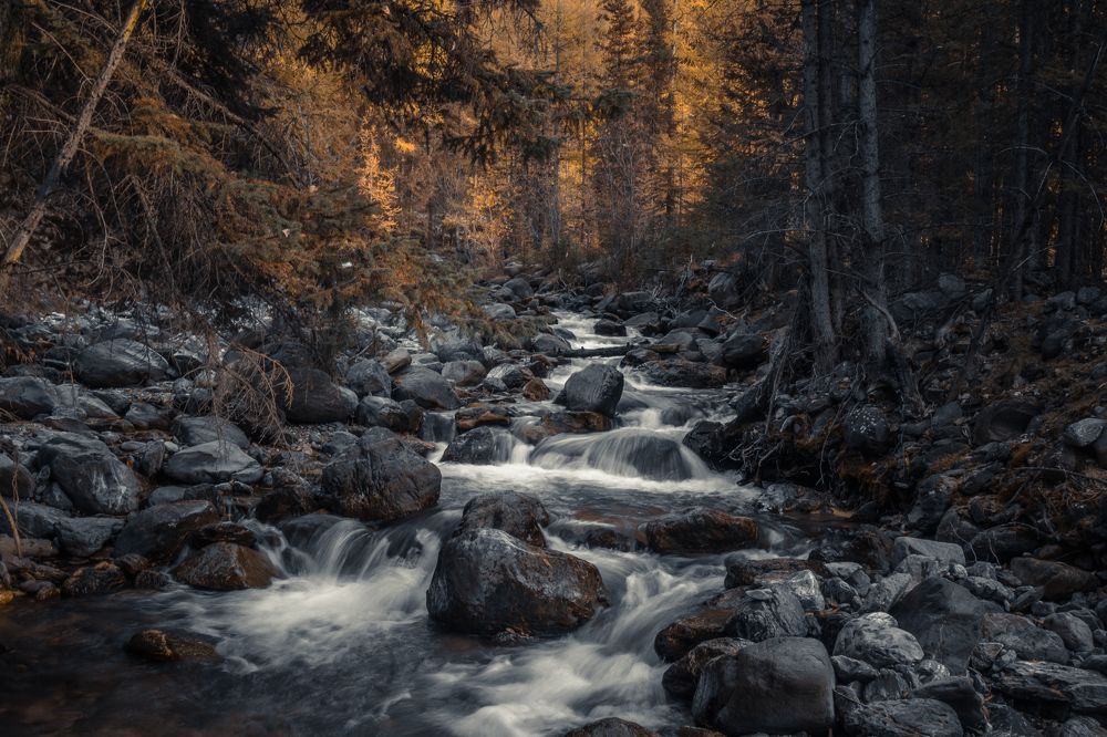 Photograph by Лобанов Денис