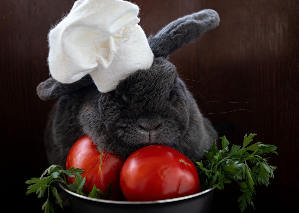 Photograph by Elena Papadopoulou