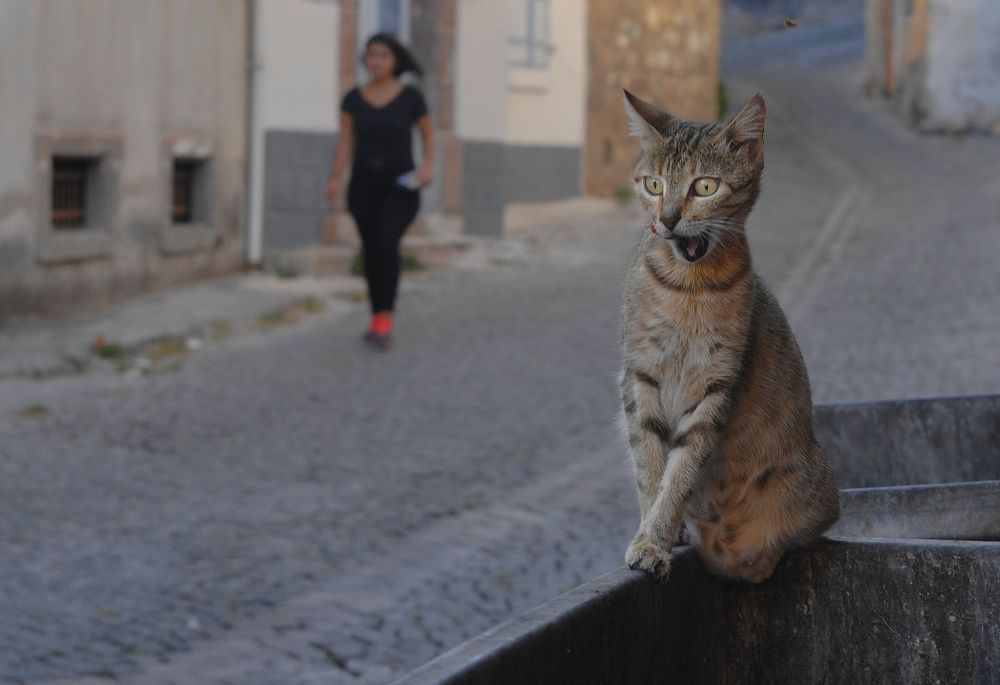 Photograph by Süleyman Ülker