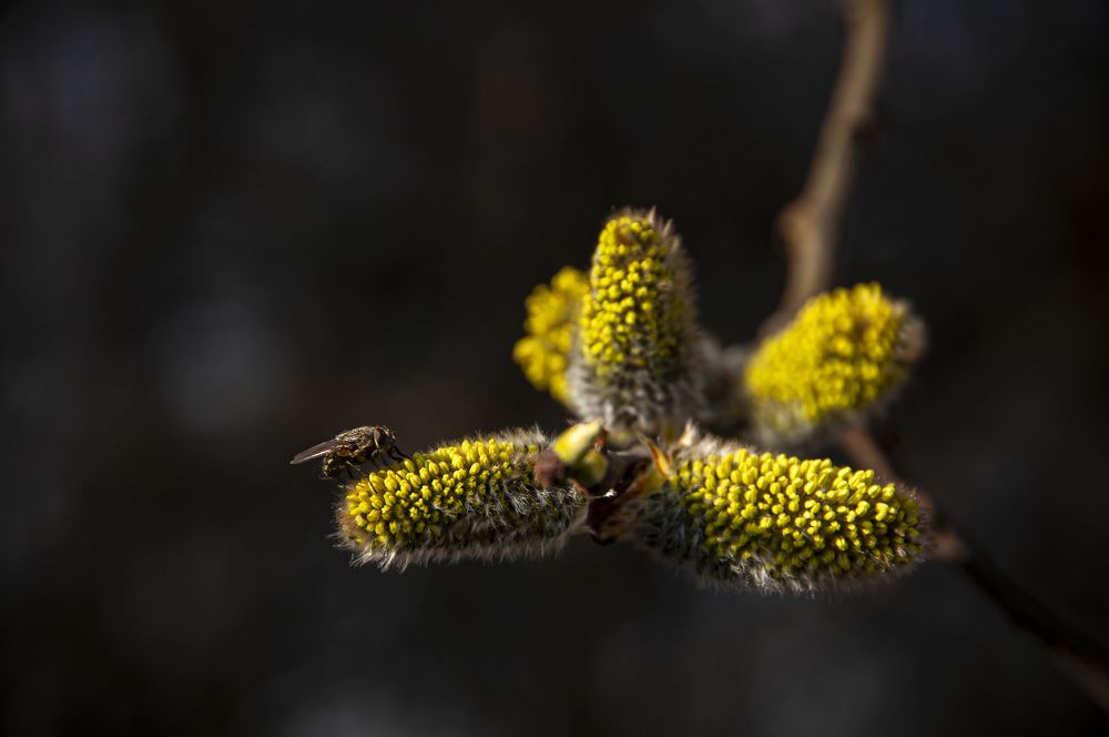 Photograph by Никита