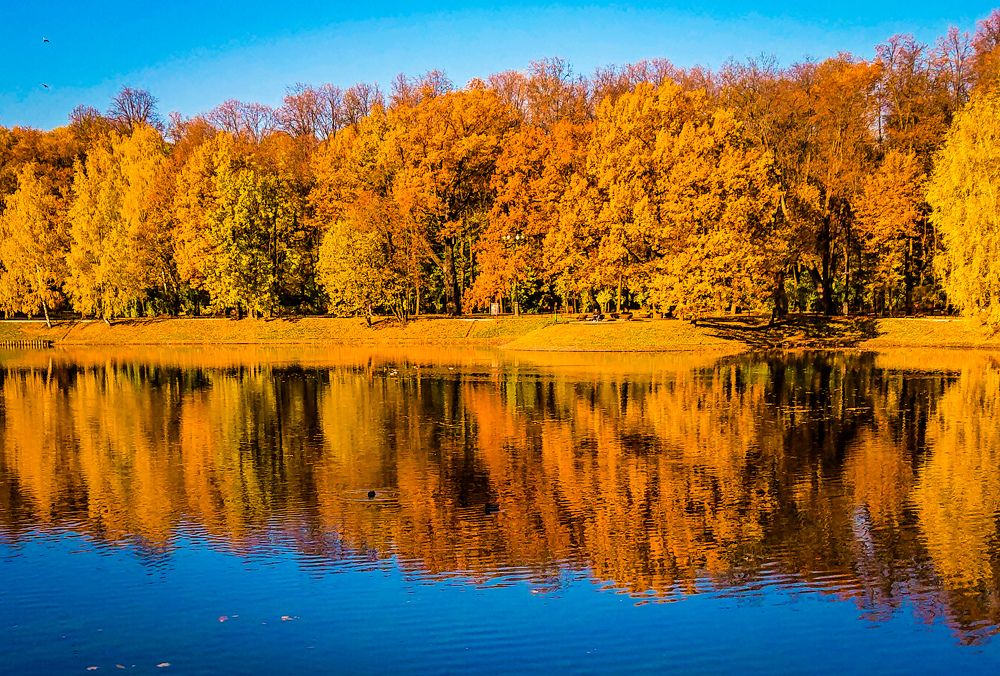 Фотография автора Elena Ku