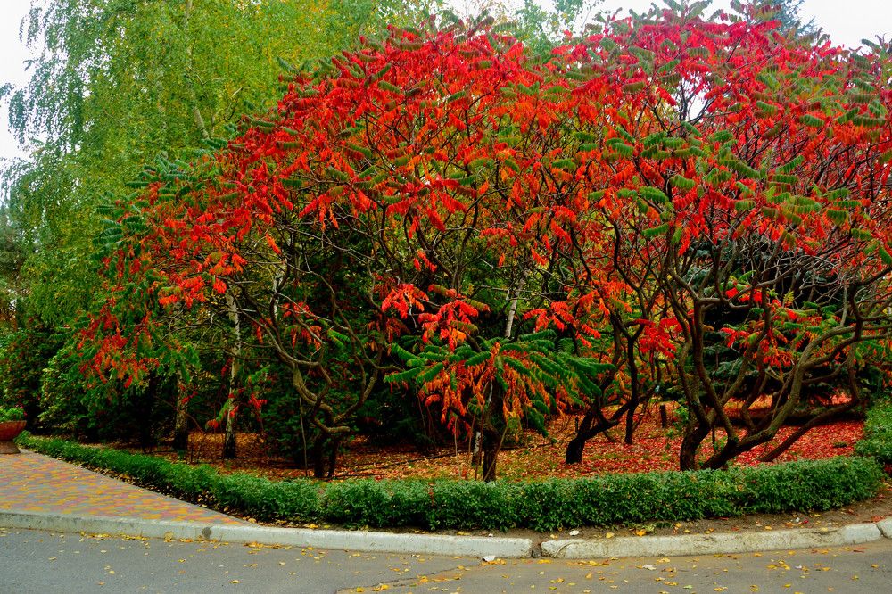 Photograph by Сергей Нестеров