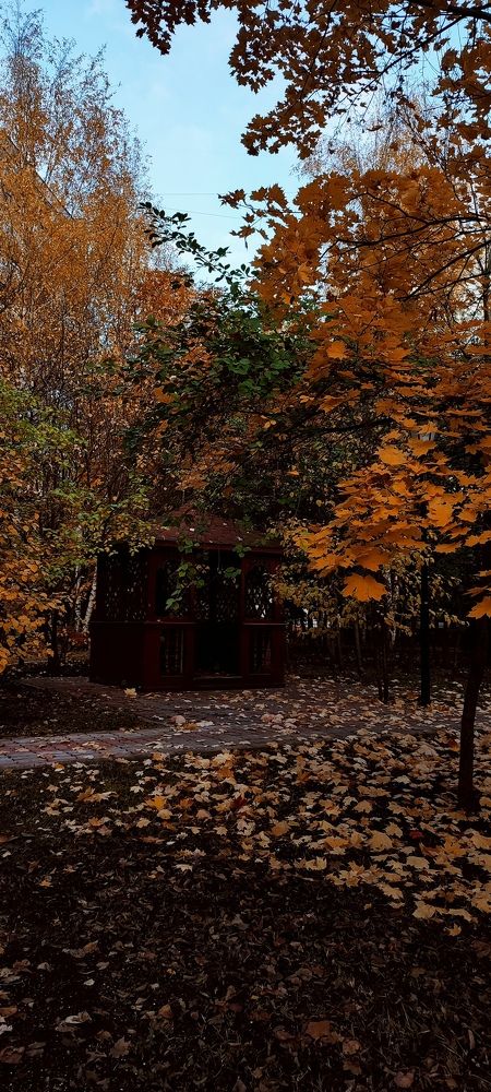 Photograph by DARIA DEMINA