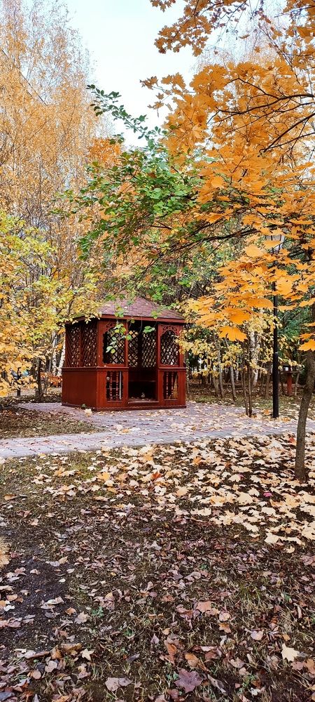 Photograph by DARIA DEMINA